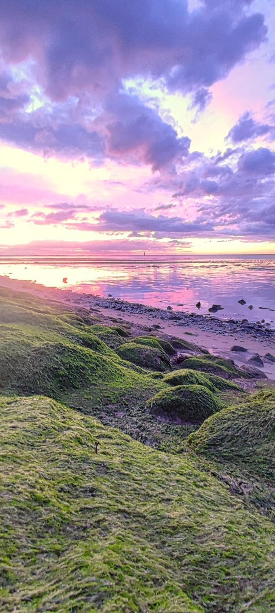 Nordseezimmer Koi オッテルンドルフ エクステリア 写真
